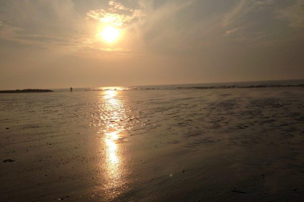 img-270887121091-d5fa-5cbf-d57f-6b6bb7a30932CDCB921D-3209-42DD-FF8F-D616E10F1A1B.jpg